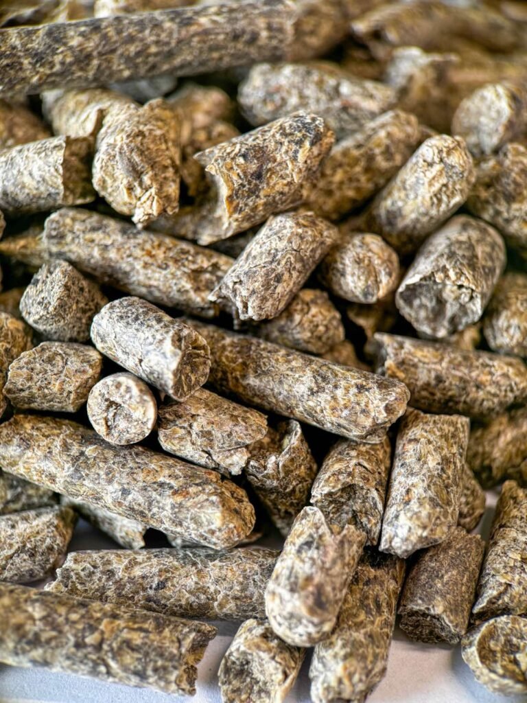 Sugar beet pulp pellets