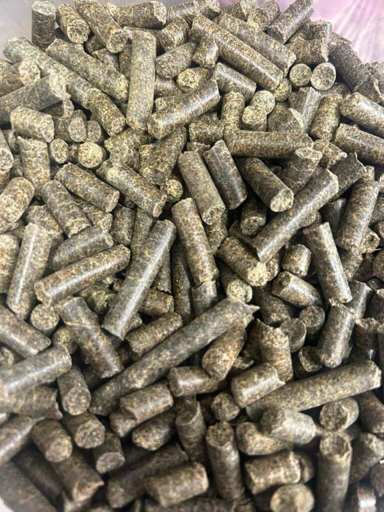 Rapeseed Meal